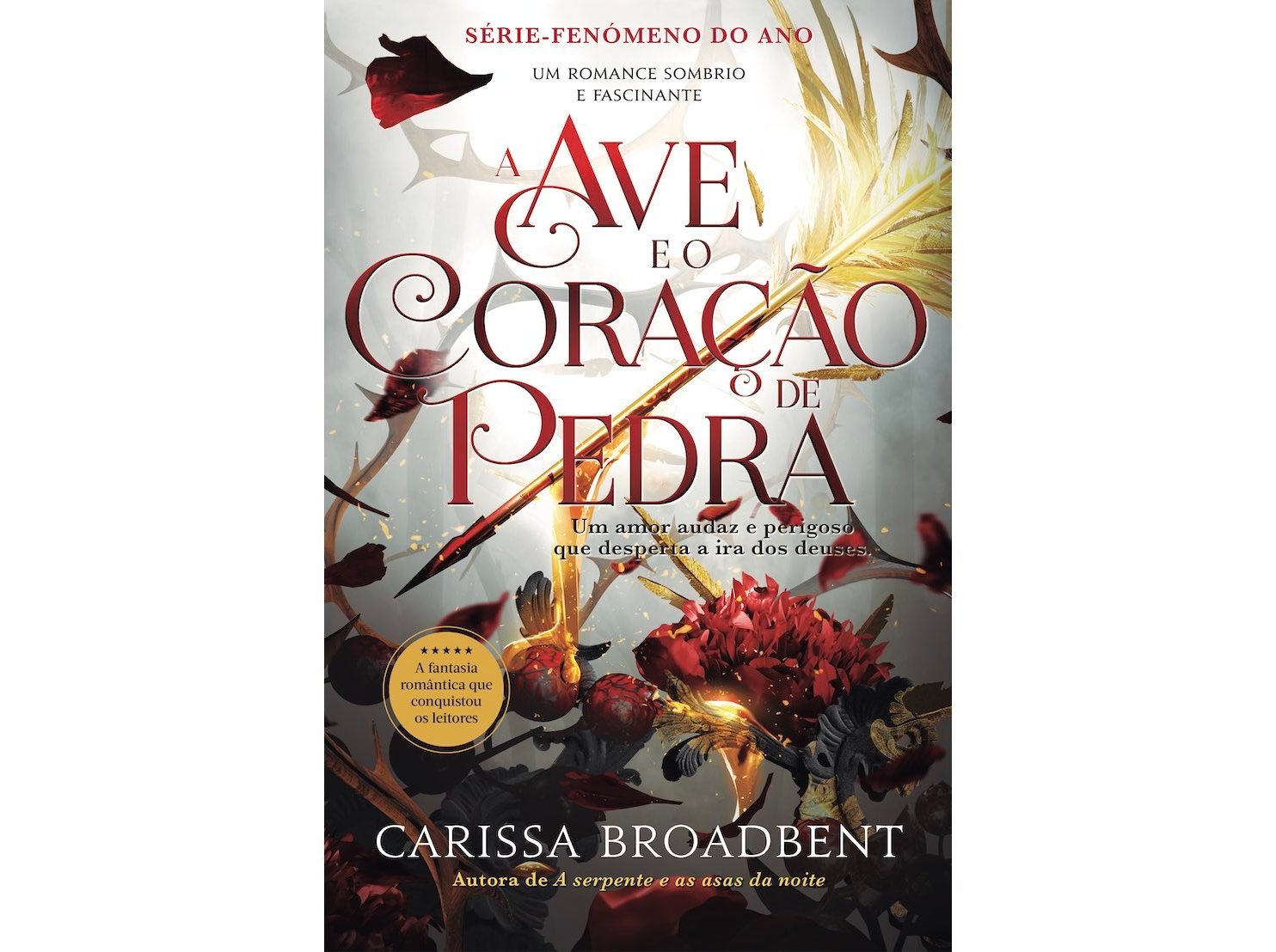 LIVRO A AVE E O CORAÇÃO PEDRA DE CARISSA BROADBENT