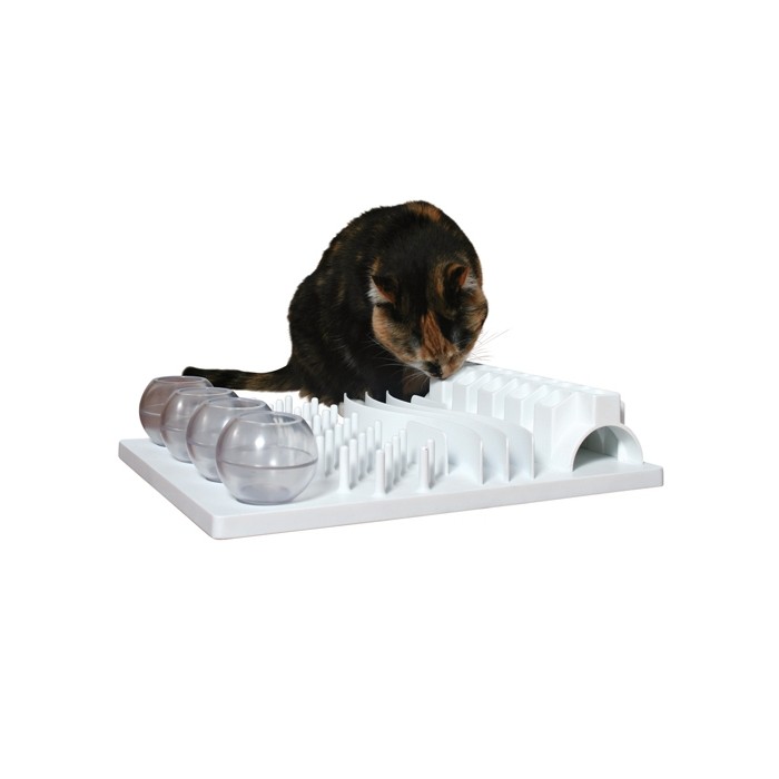 Jout éducatif Fun Board