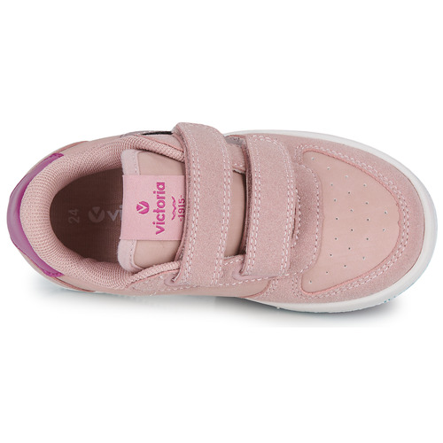 Victoria -  - Rose