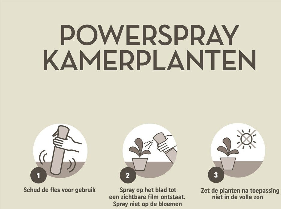 Pokon powerspray kamerplanten 300 ml