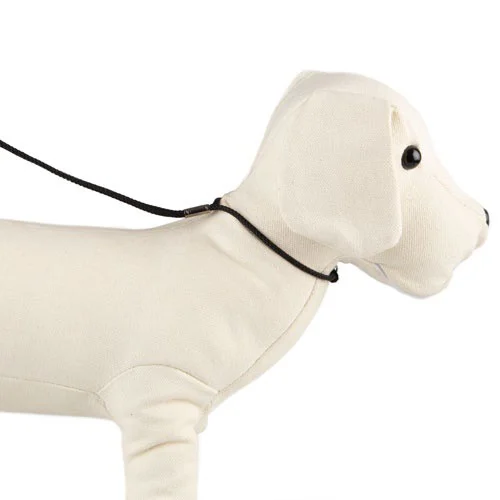 Coleira de exposição para cães TK-Pet preta com guia.