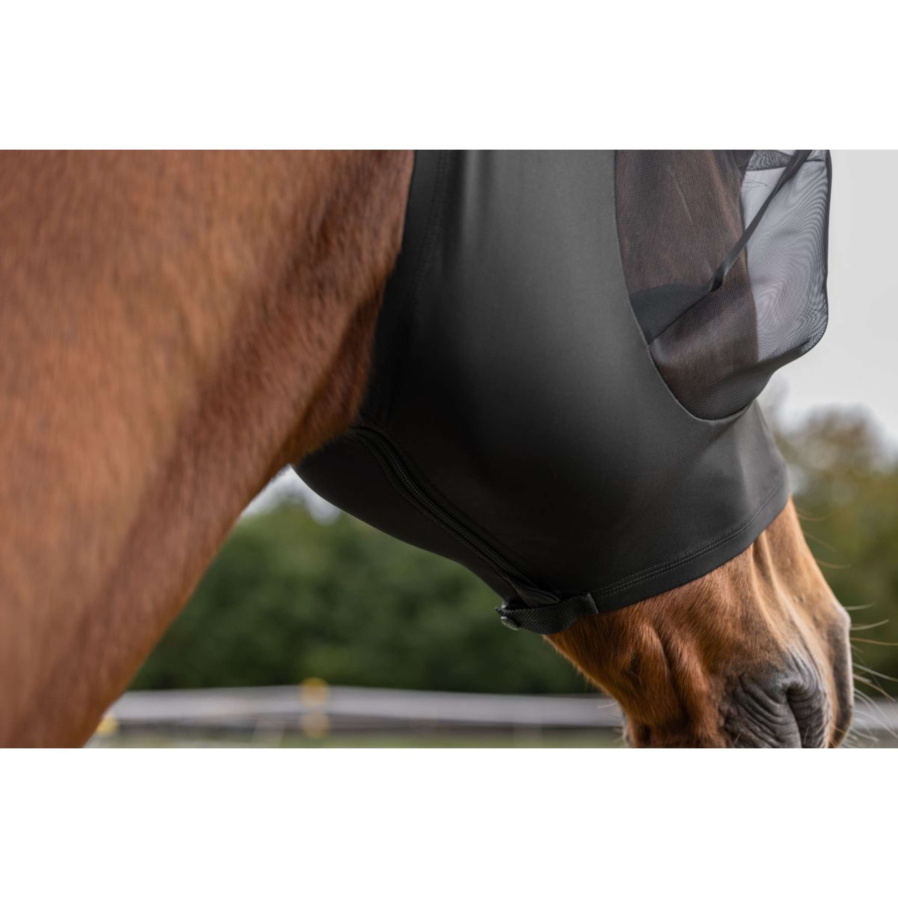 Covalliero Vliegenmasker FinoStretch Zwart
