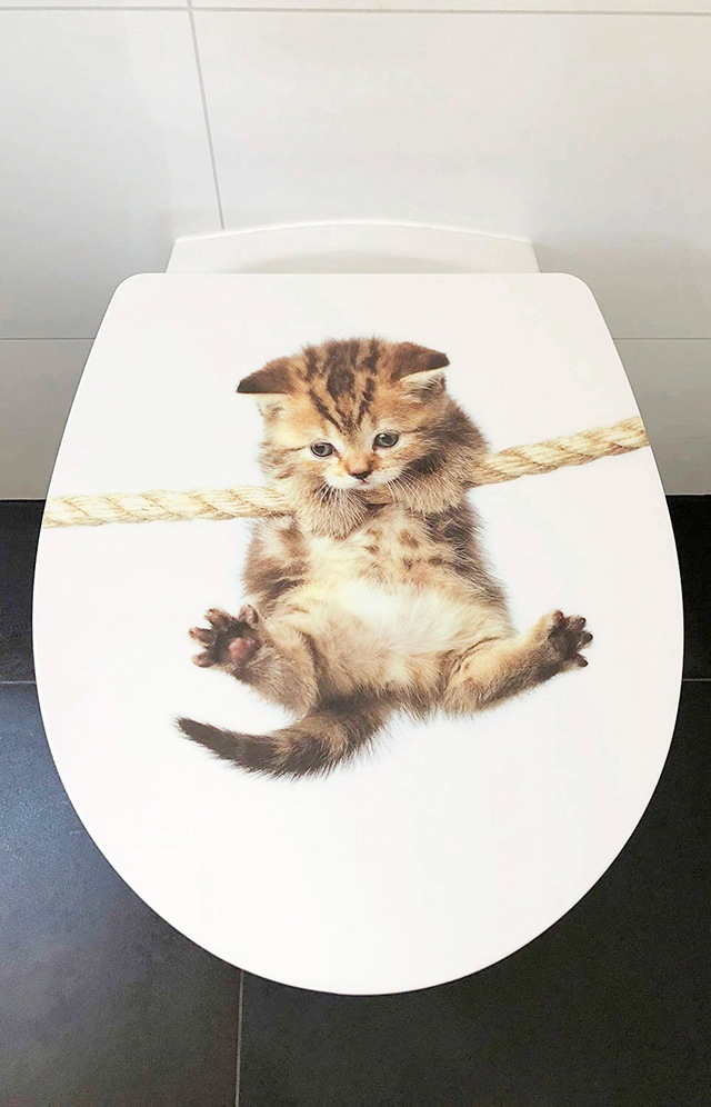 ADOB WC-Sitz »Cat« Absenkautomatik, zur Reinigung auf Knopfdruck abnehmbar