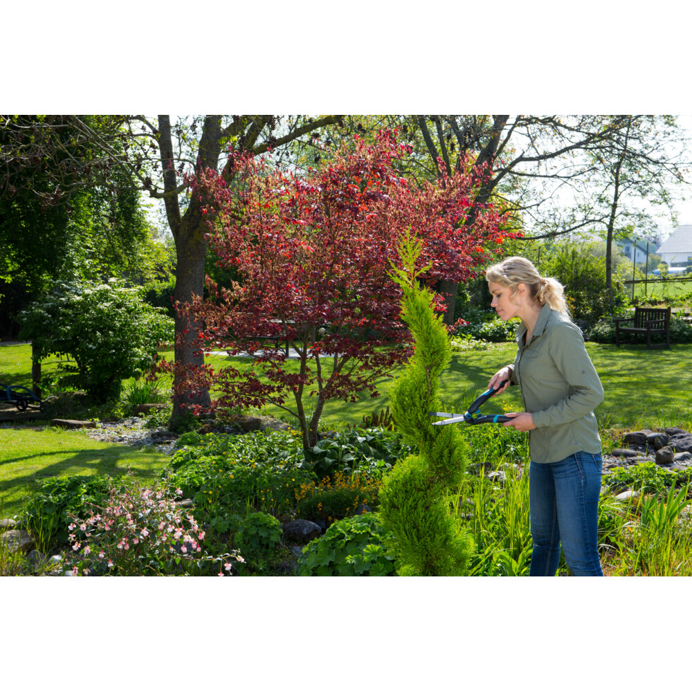 Gardena PrecisionCut Buxusschaar PrecisionCut