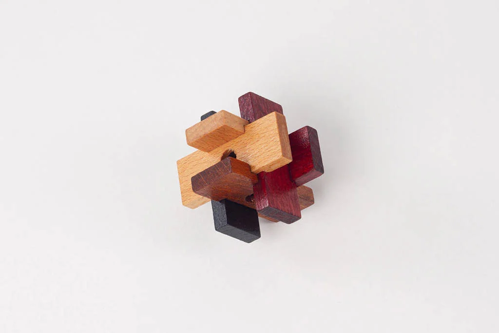 Brain Puzzle set of 6