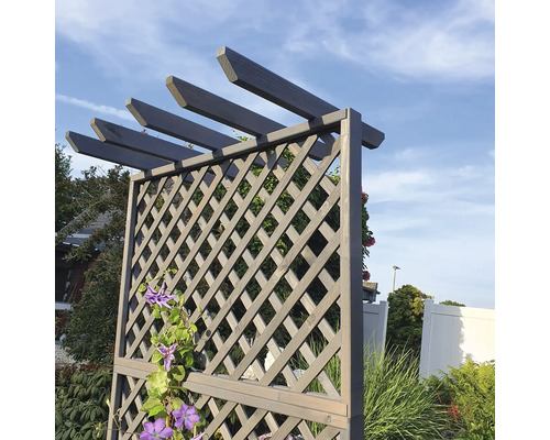 Houten trellisbak met pergola 102 x 65 x 200 cm grijs