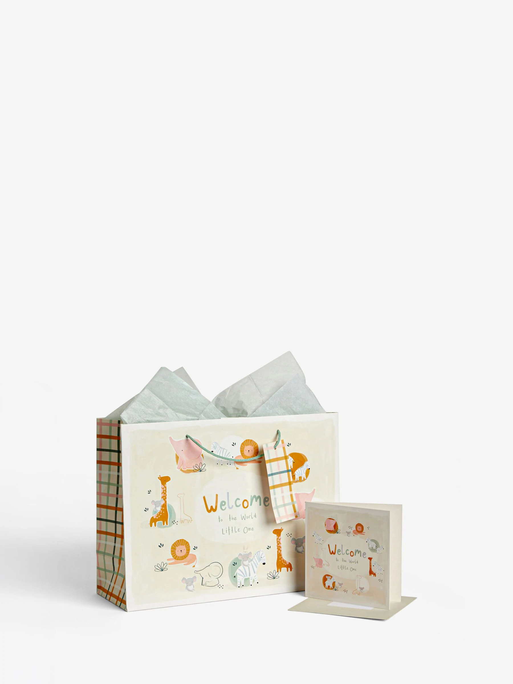 Jungle Baby Gift Bag and Card Set