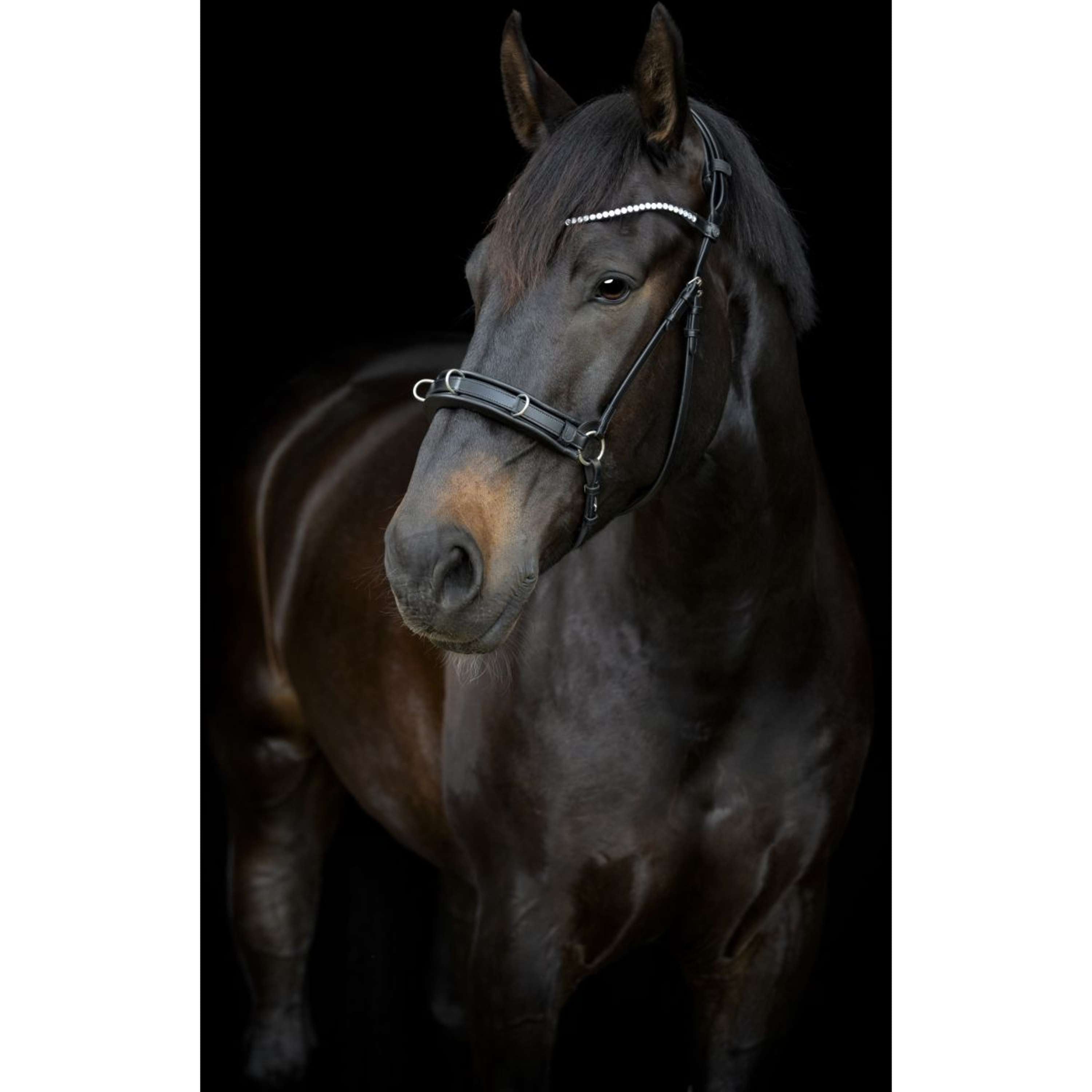 Catago Kinriem Gentle Zwart