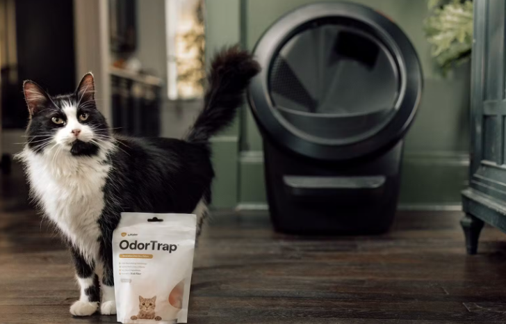 (6er Set) OdorTrap Geruchsentferner für Litter-Robot Katzen Klo Haustier Toilette (WKR-LTBXSCT-6PK-INTL) - Orange