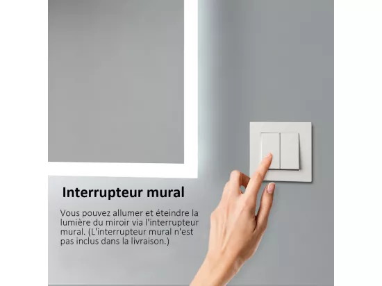 EMKE Miroir lumineux salle de bain 60x80cm, Miroir LED salle de bain, Miroir avec l'éclairage, Lumière blanche froide
