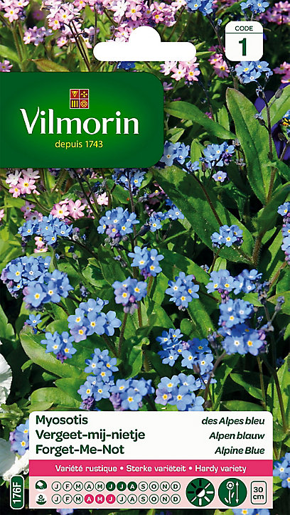 Graines de Myosotis des Alpes Bleu Vilmorin