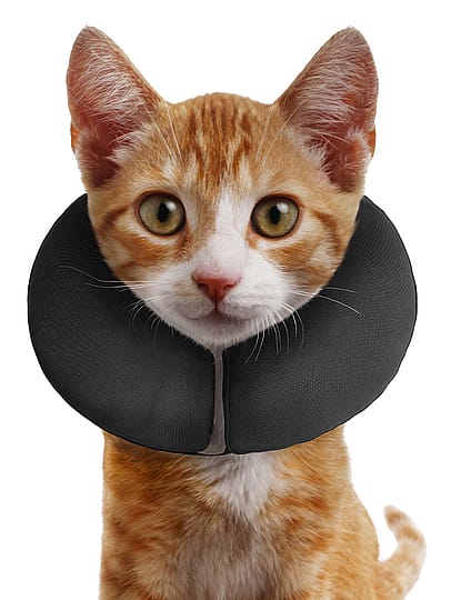 ZenCollar Kraag maat  XS