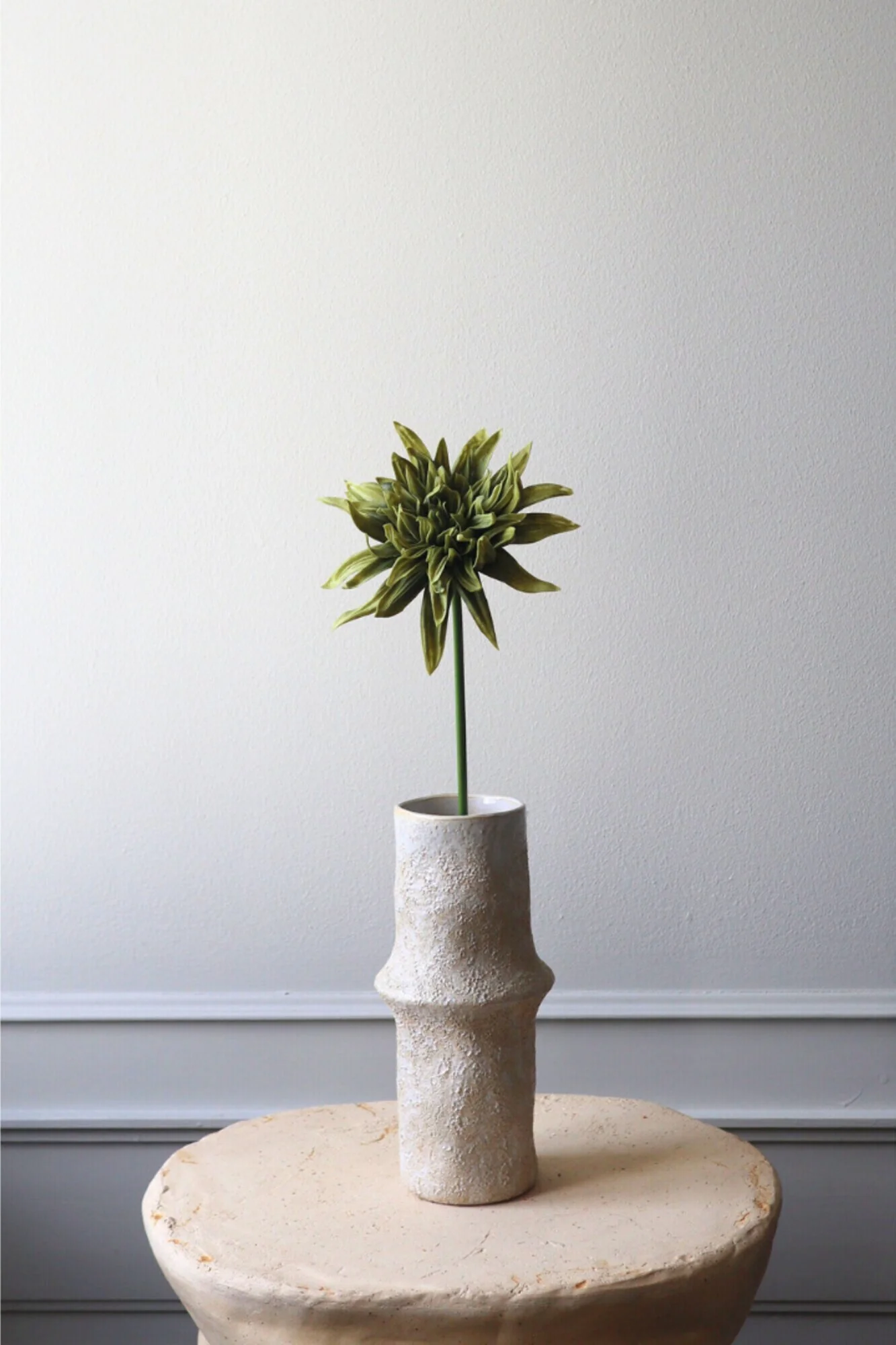 Botané  Kaktus Dahlia blomst - grøn