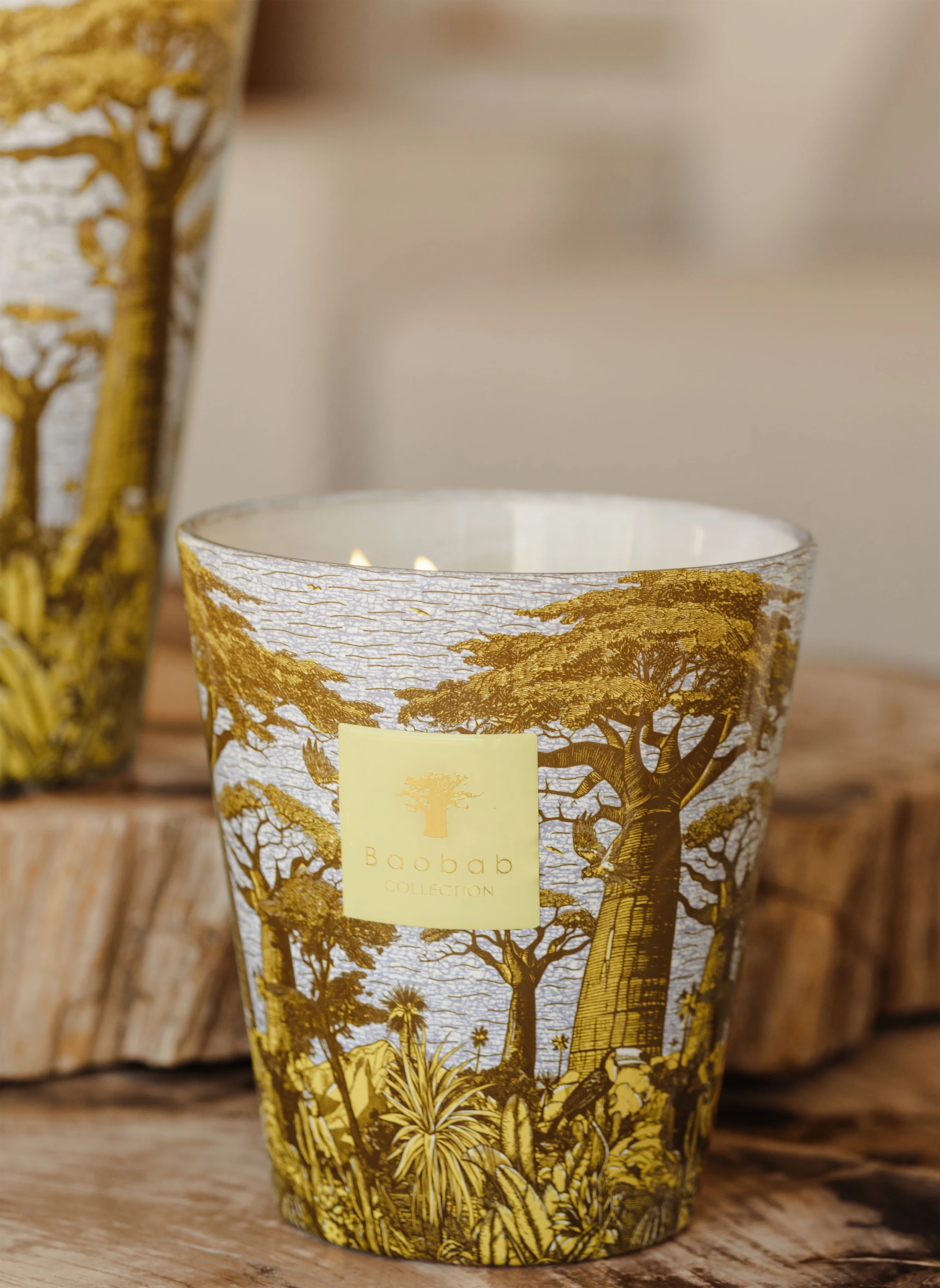 Baobab COLLECTION Duftkerze COCODY