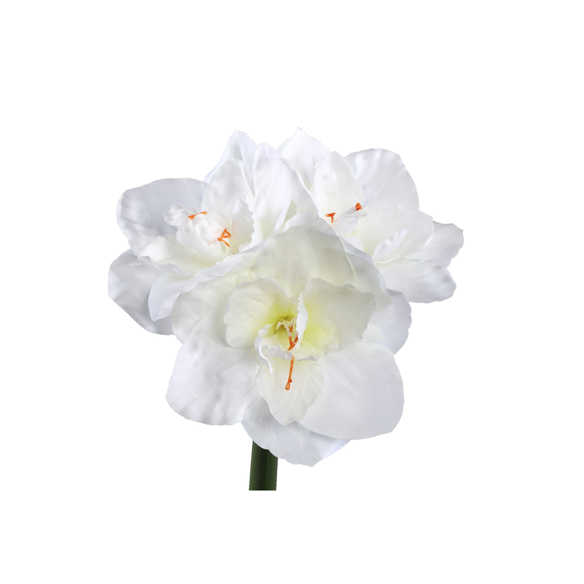 PTMD - Kunstbloem Amaryllis - Wit - 17x38x75cm