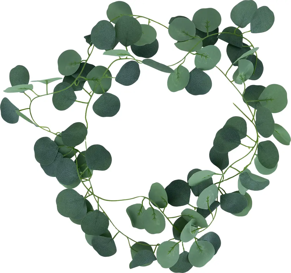 Guirlande eucalyptus