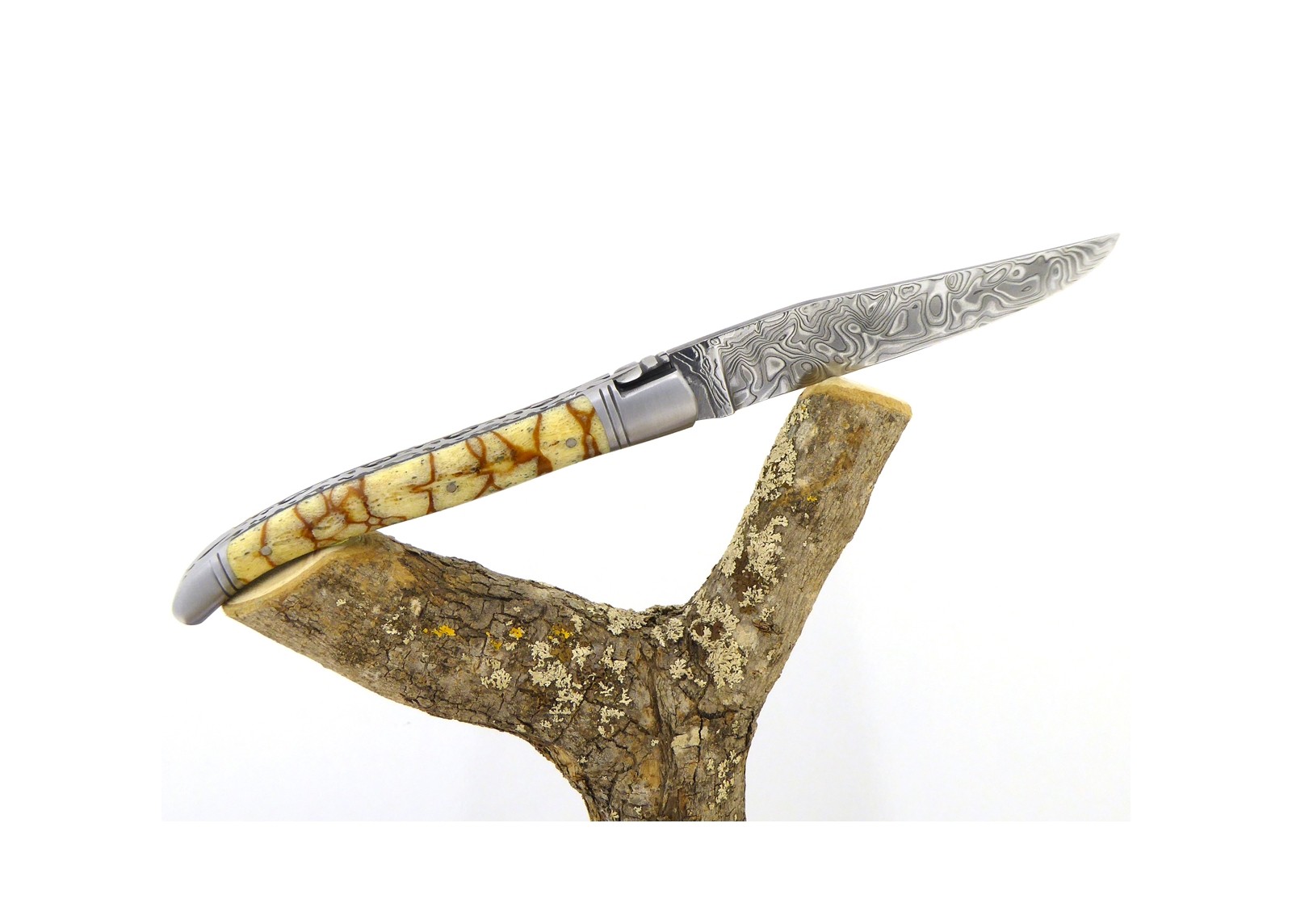 VENDU - Couteau Laguiole avec un manche en corail Fossile Tigré et une lame Damas