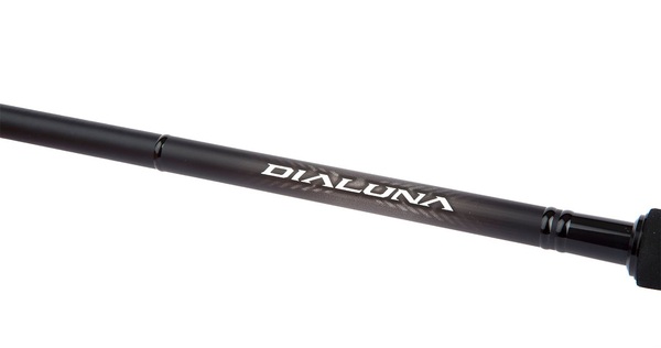 Canne Bar Shimano Dialuna Spinning Inshore