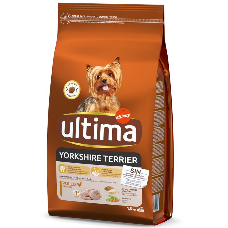 Ultima Dog Yorkshire