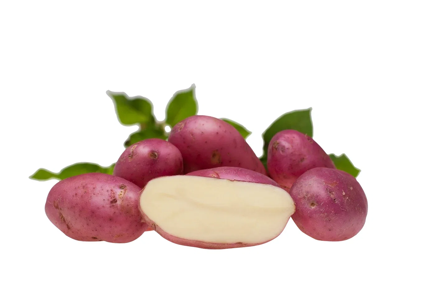 Settepotet Asterix 2,5 Kg Settepotet 'Asterix' 2,5 kg