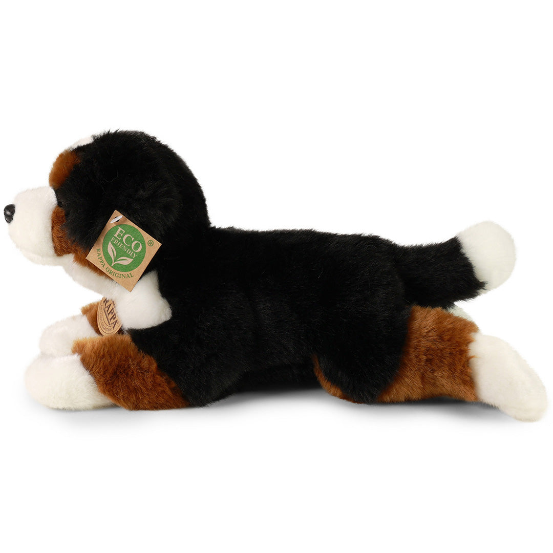 rappa knuffelhond berner - 30 cm