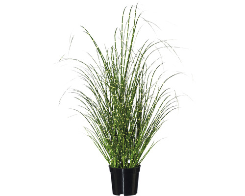 Kunstplant Miscanthus, hoogte: 58 cm, groen