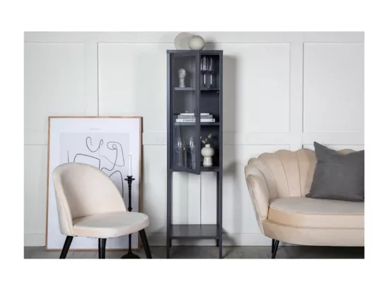 Vitrine Avec Porte en Verre 