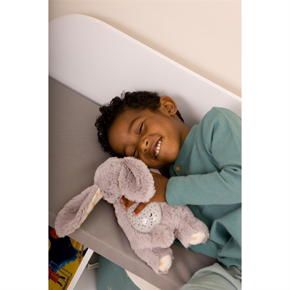 Dream Buddies Bamse Kanin - Cloud B → Luksusbaby.dk