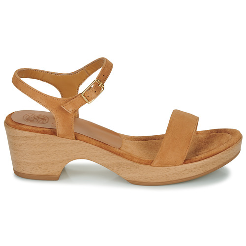 Unisa - IRITA - Camel