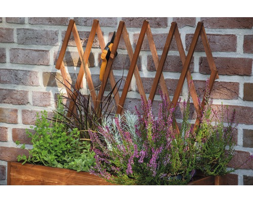Verhoogd tuinbed op palen met trellis, mobiel, 79 x 28,5 x 130 cm, bruin gebeitst