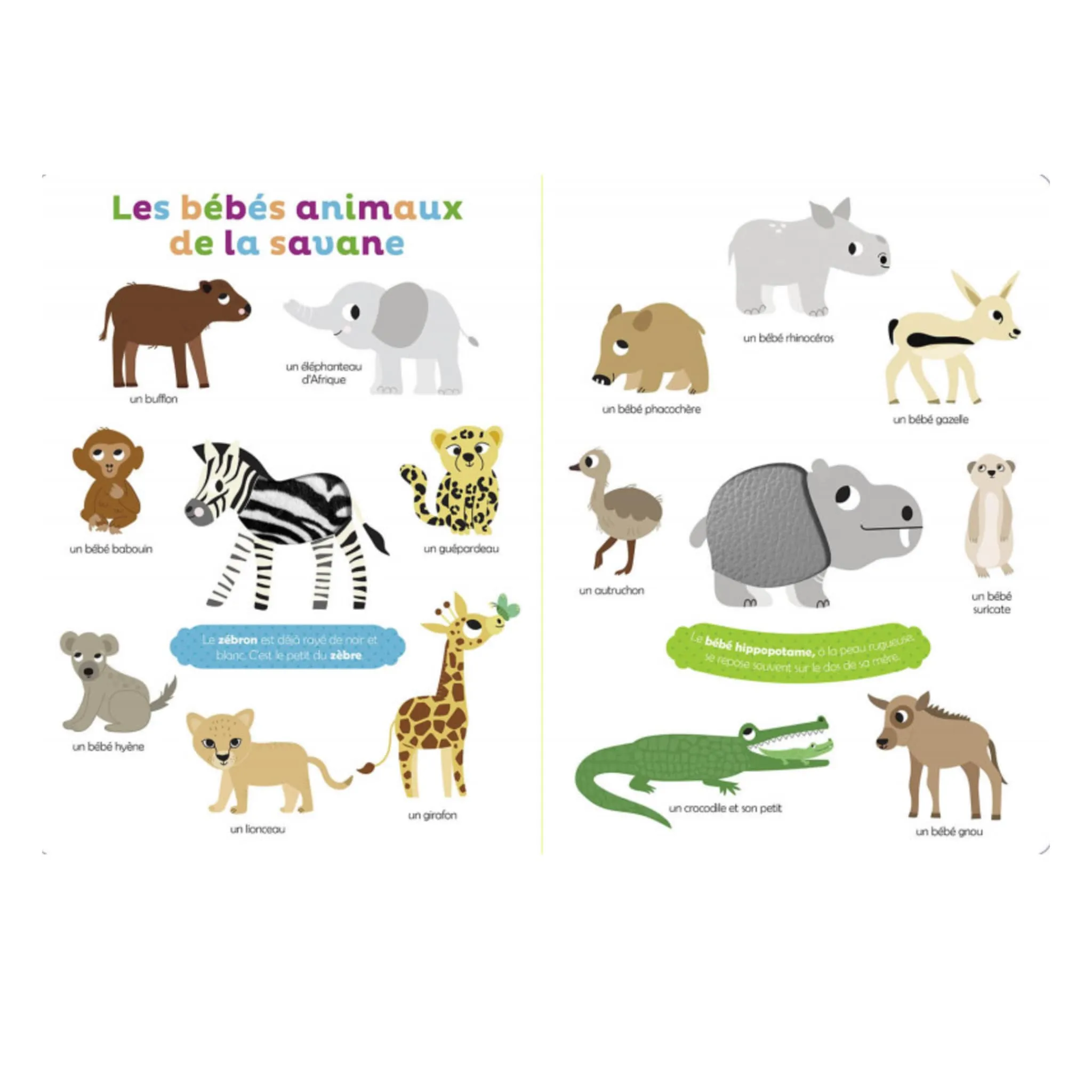 Auzou Mes Bébés Animaux À Toucher