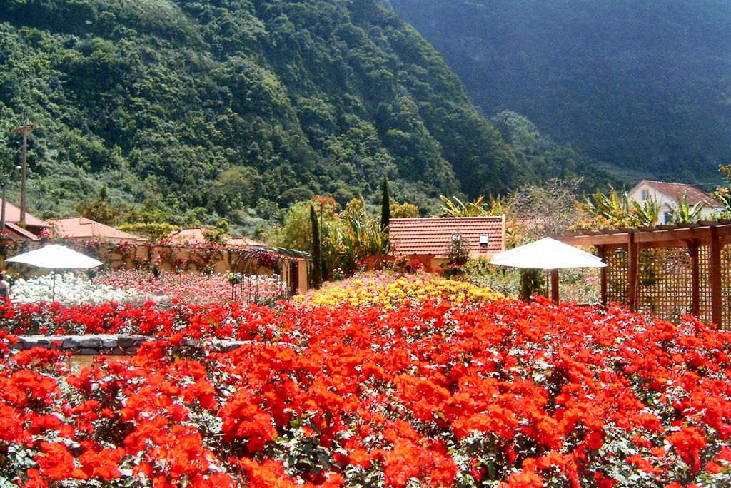 Fly & Go Pestana Quinta do Arco Nature & Rose Garden Resort Logies en ontbijt - Hotel