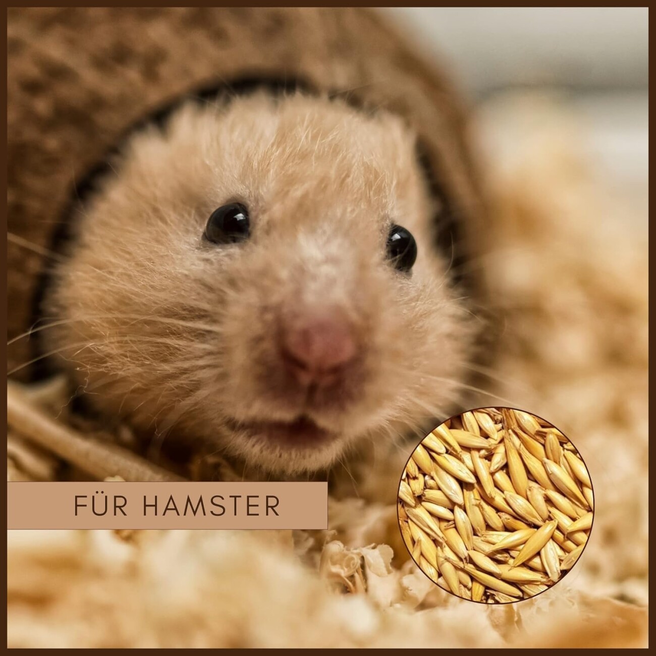 Supravit Hafer ganz - Frischer gelber Futterhafer natürlich & ungeschält für Pferd und Pony | staubfrei & riecht gut I Hafer Energie & Kraftfutter Pferd 20 kg