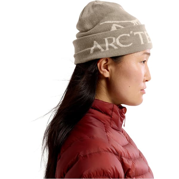 Bonnet ski ARC'TERYX BIRD HEAD TOQUE RUNE / ARCTIC SILK