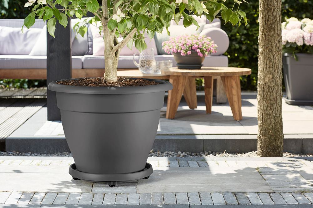 Elho plantentrolley Universeel antraciet D 38,2 H 6,5 cm