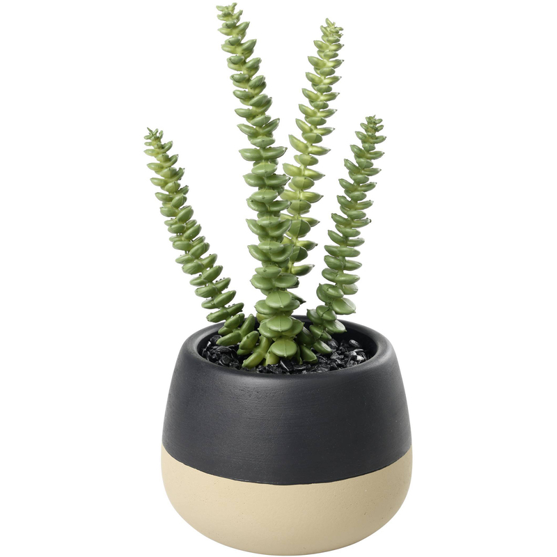 EGLO Kunstpflanze Yulara, 20 cm, grün