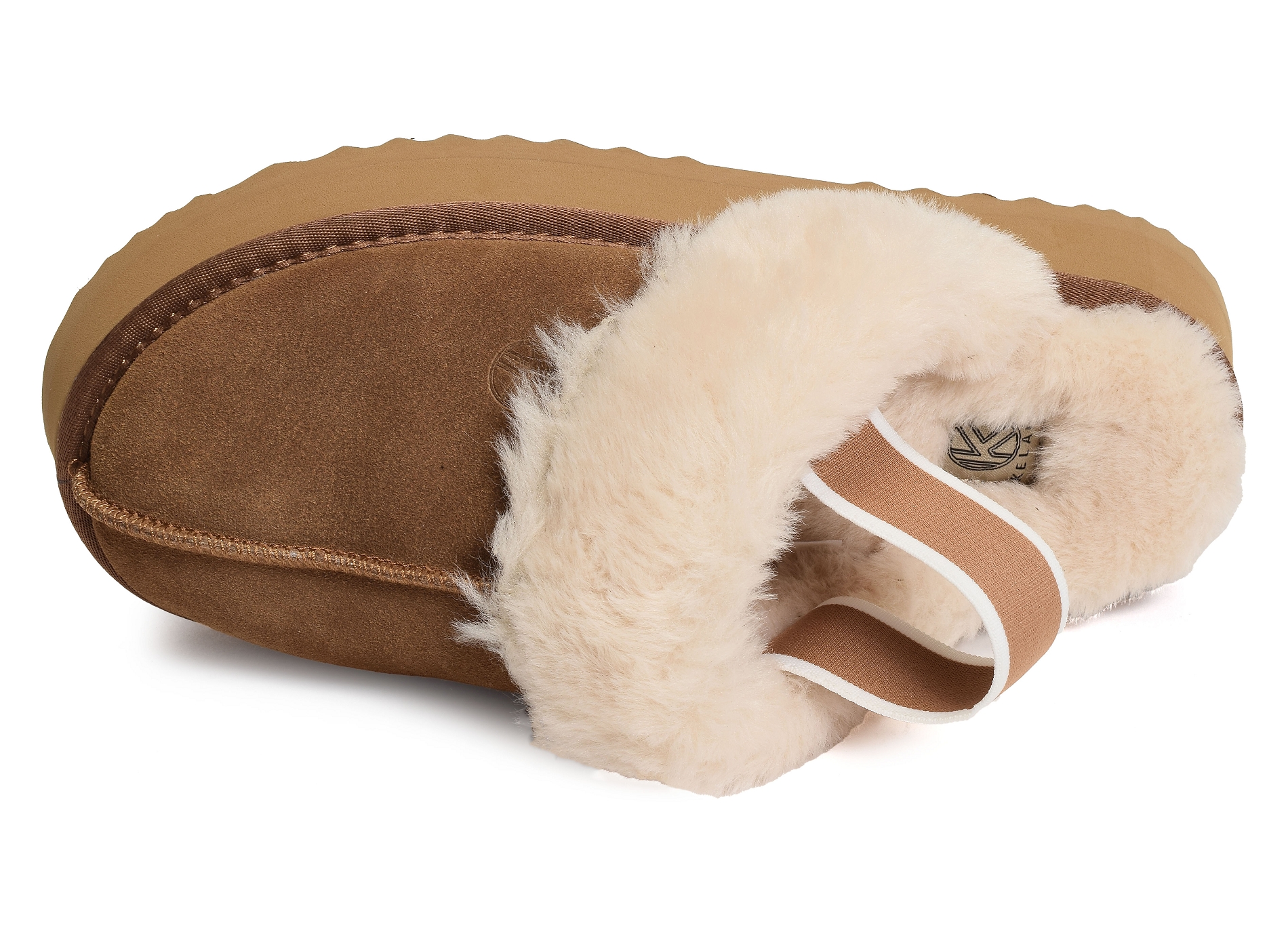 K21218 camel
