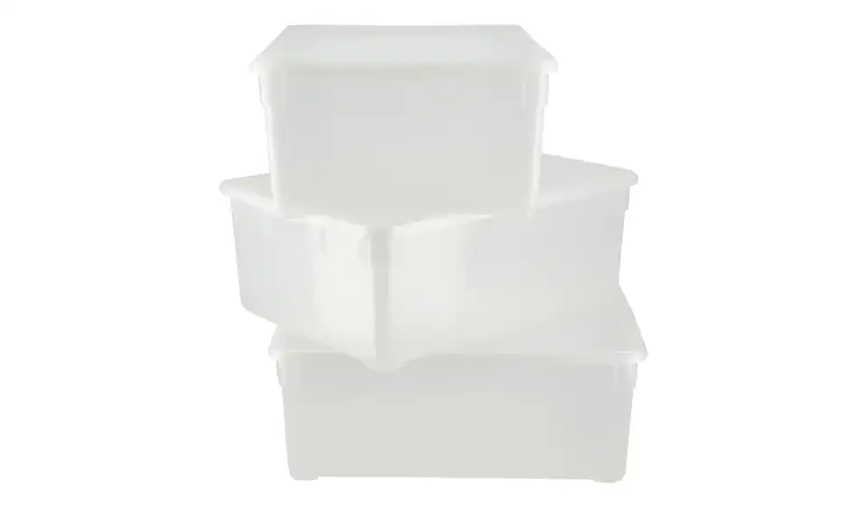 Rotho Aufbewahrungsbox, 3er Set