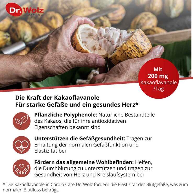 Cardio Care Dr. Wolz Kapseln, 60 St