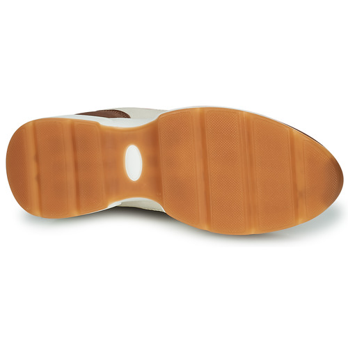 Dream in Green - AGAPANTHE - Multico-beige