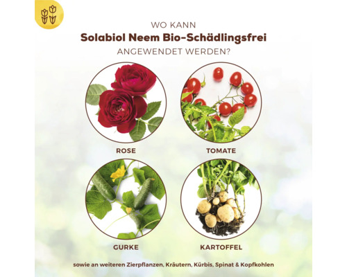 Ongediertevrij organisch neem solabiol concentraat, 60 ml
