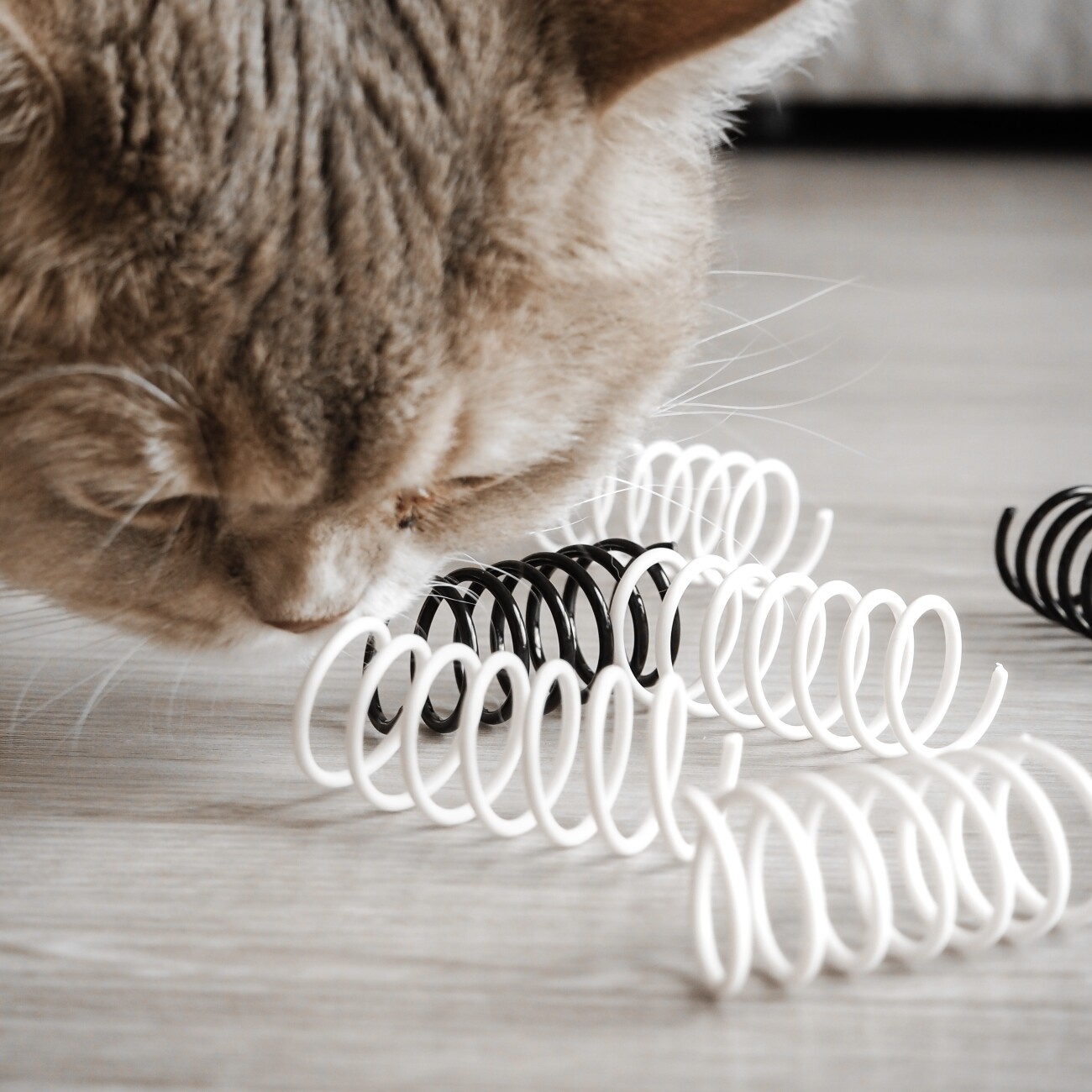 Minty&Marla Katzenspielzeug Spiralen 4er Pack