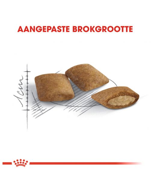 Royal Canin Ageing 12+ - Kattenvoer