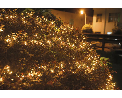 LED cluster lichtketting Lafiora 6 m 768 LED's lichtkleur amber