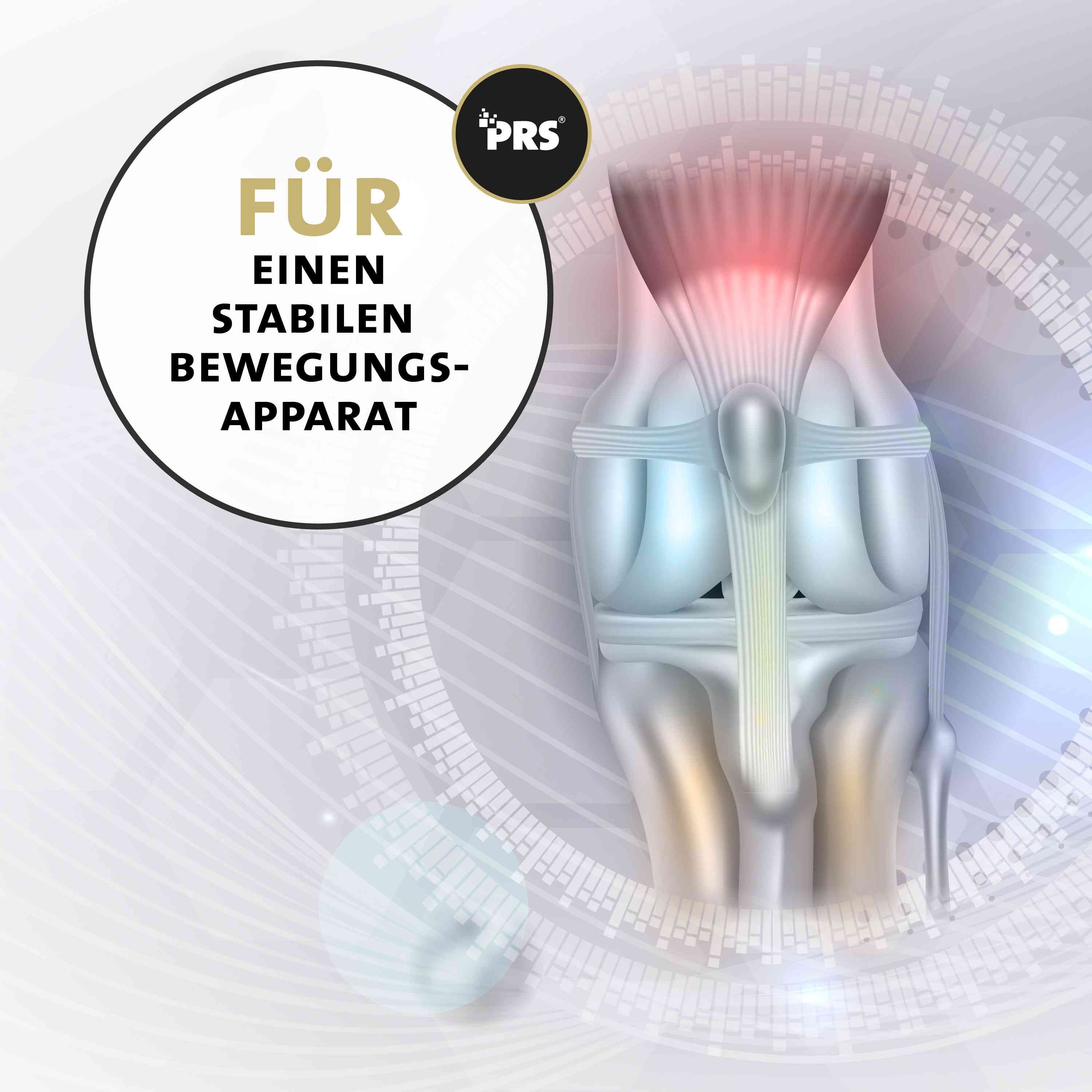 Peticare Gelenke Pulver-Mix für Katzen