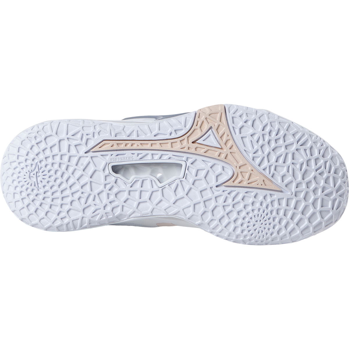 Mizuno Wave Stealth Neo 2 Håndboldsko Dame