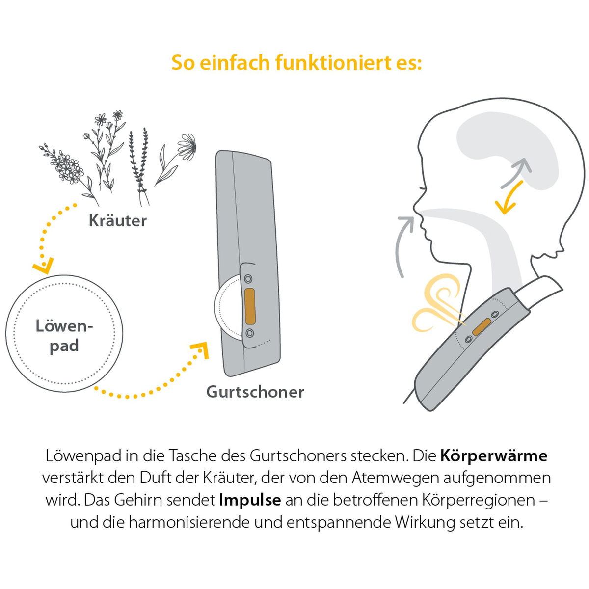 LöwenkindLöwenkind   Gurtschoner