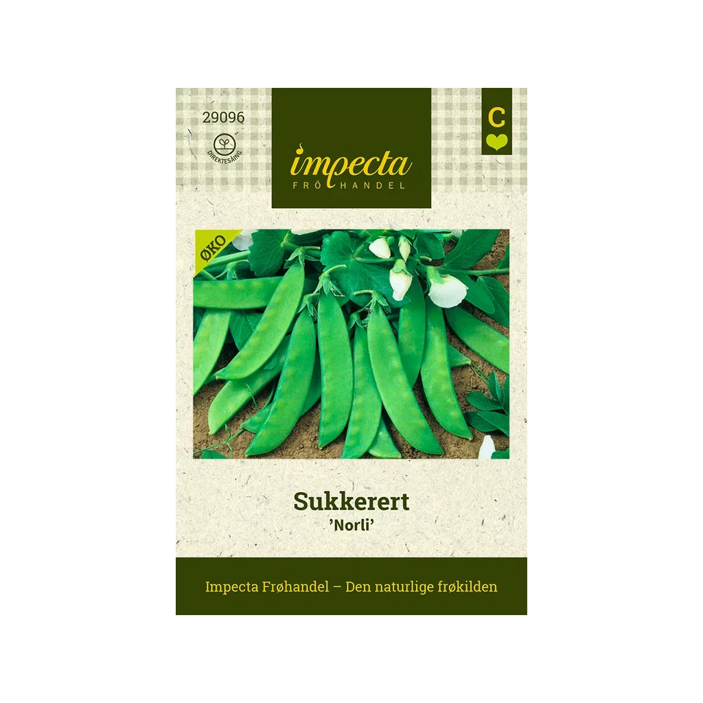 Pisum sativum 'Norli' Sukkerert 'Norli'