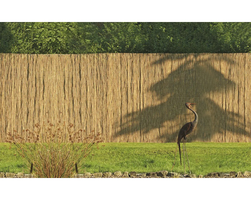 Privacyschermmat, wilgenmat videx Provence 300 x 150 cm naturel