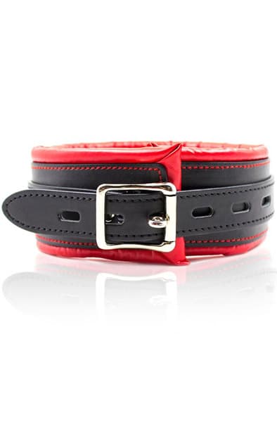 Padded Collar With Metal Leash